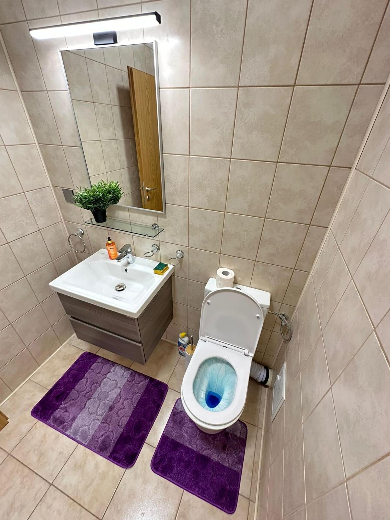 Centru Unirii Luxury Vip Palmier Apartament 2 Camere Cu Terasa Exterioara Amenajata ! Parcare Subterana Privata Climatizata Si Supravegheata Video Dar Doar Cu Rezervare In Limita Locurilor Disponibile !Proprietate In Regim Hoteliep - Nu Are Bucatarie บูคาเรสต์ ภายนอก รูปภาพ