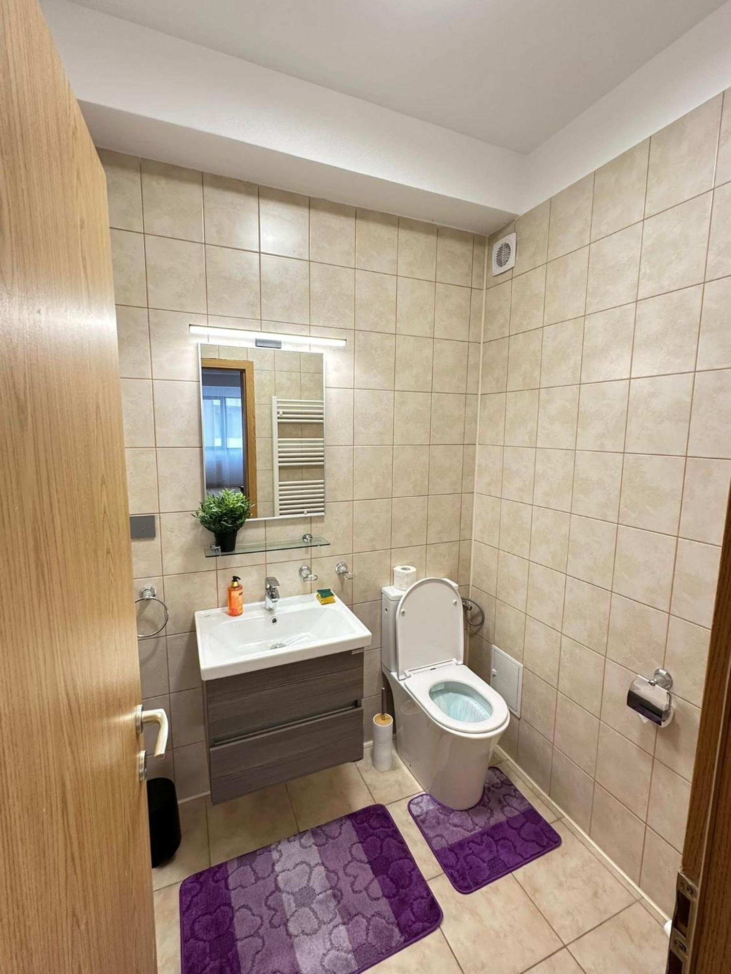 Centru Unirii Luxury Vip Palmier Apartament 2 Camere Cu Terasa Exterioara Amenajata ! Parcare Subterana Privata Climatizata Si Supravegheata Video Dar Doar Cu Rezervare In Limita Locurilor Disponibile !Proprietate In Regim Hoteliep - Nu Are Bucatarie บูคาเรสต์ ภายนอก รูปภาพ